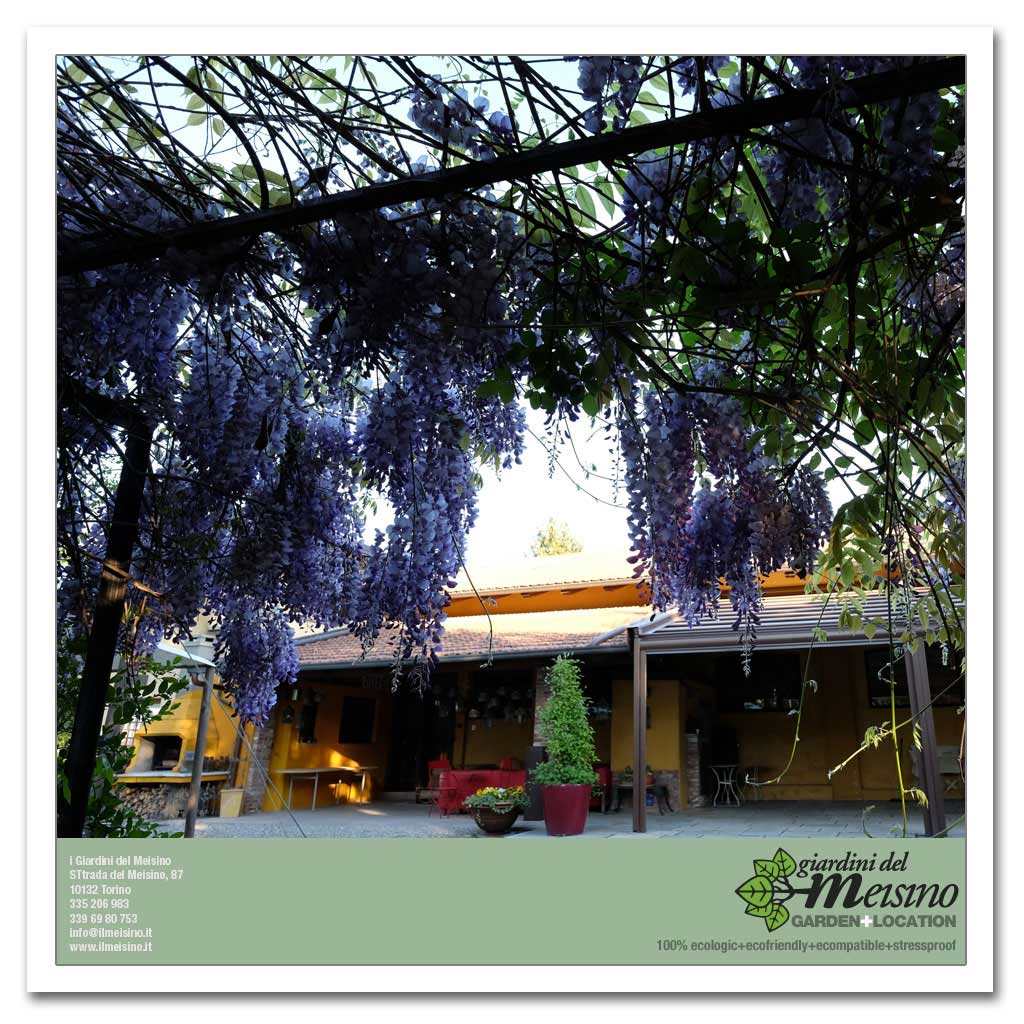 giardini meisino location torino 148